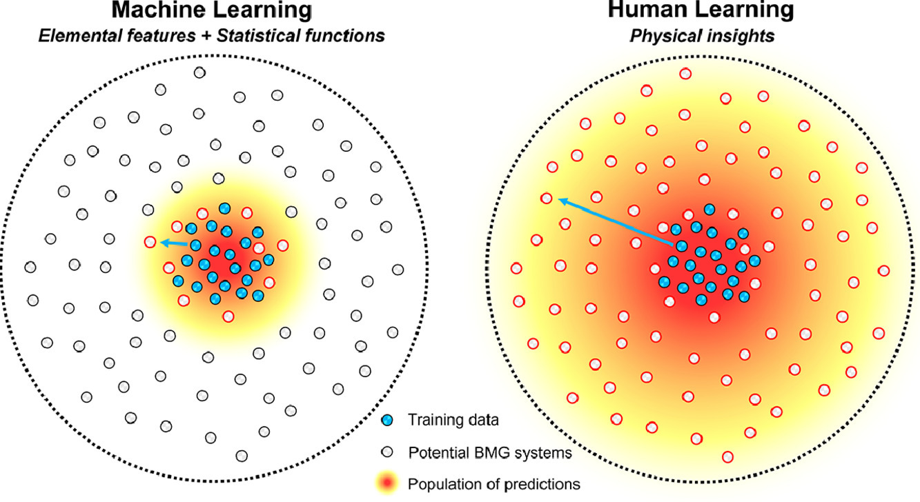 Machine learning performance in metallic glass physics