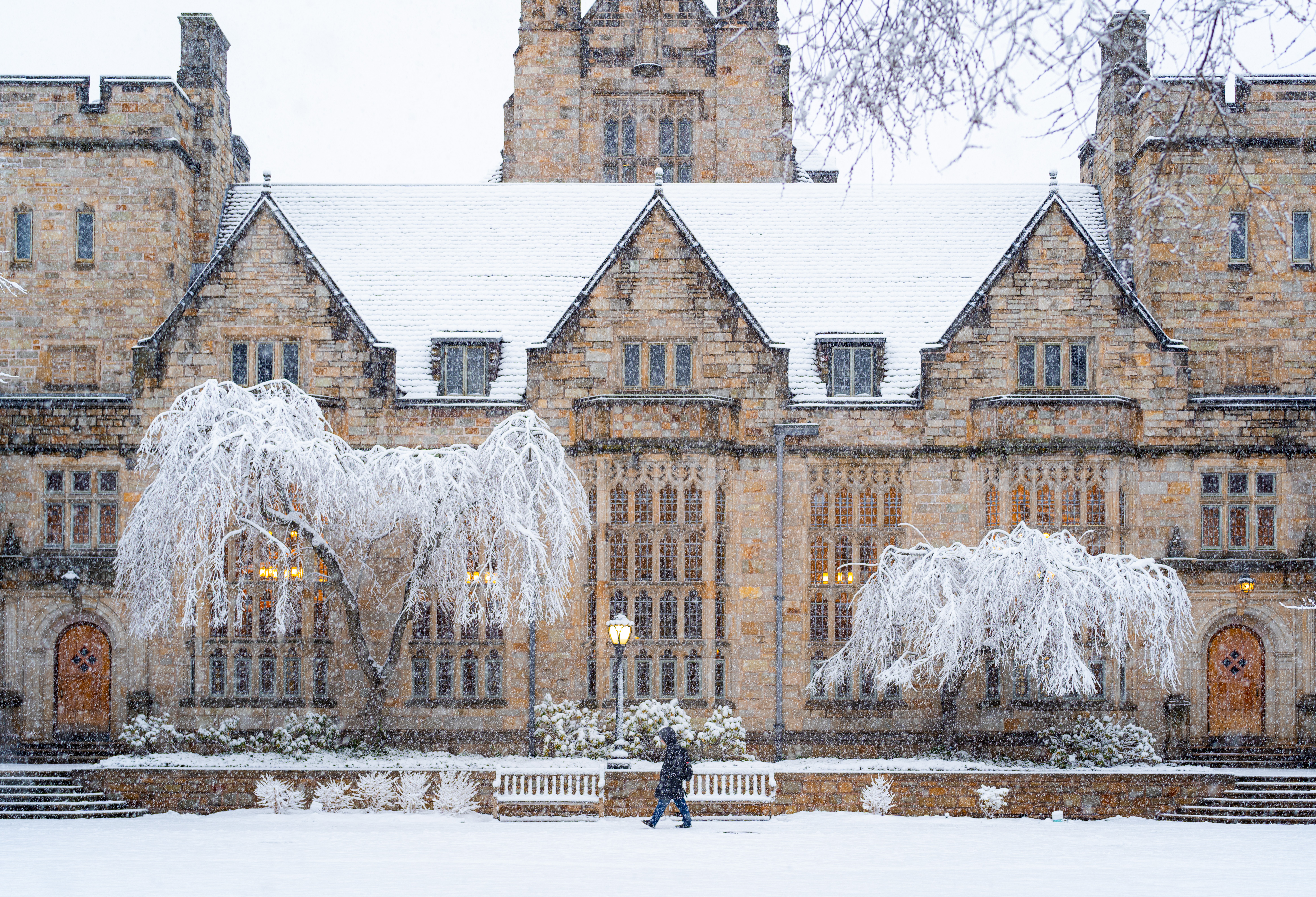 via Yale University